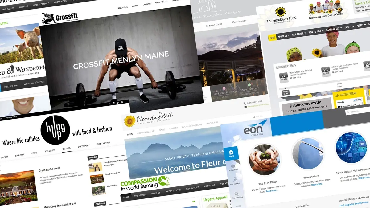 professional-web-design-portfolio